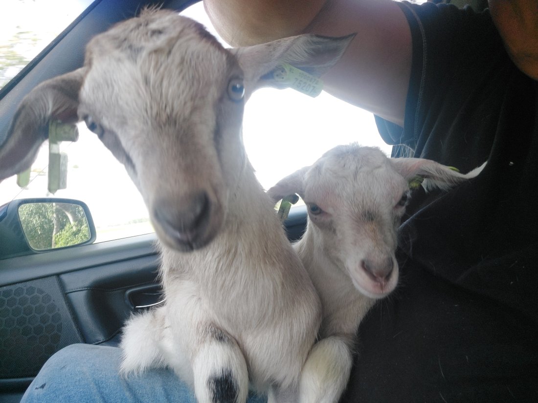 Vacature BBL of BOL leerling tot max. 24 uur